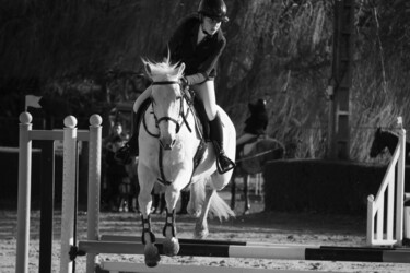 Photographie intitulée "Concours d'obstacles" par Aurélien Comte, Œuvre d'art originale, Photographie numérique