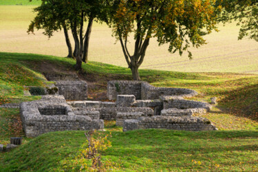 Fotografia intitolato "ruines romaines" da Aurélien Comte, Opera d'arte originale, Fotografia digitale