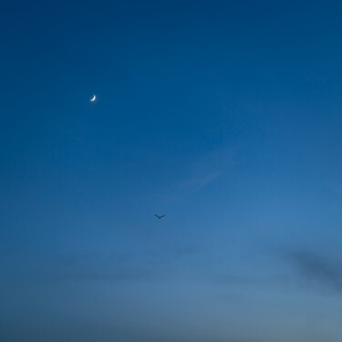 Photographie intitulée "Présence de la nuit" par Aurélien Comte, Œuvre d'art originale, Photographie numérique