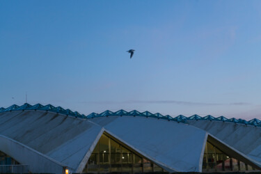 Fotografía titulada "Piscine et oiseau" por Aurélien Comte, Obra de arte original, Fotografía digital