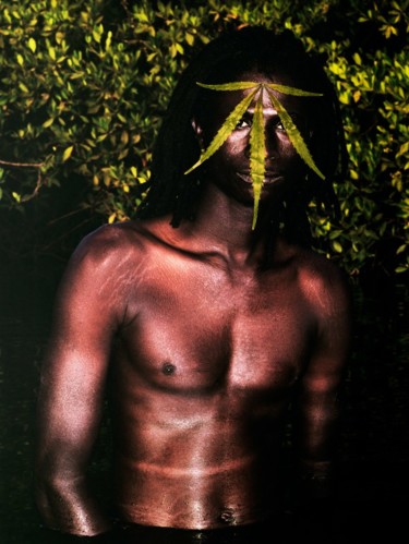 BeLeaf XX "BeLeaf XX" başlıklı Fotoğraf Aurélien David tarafından, Orijinal sanat, Dijital Fotoğrafçılık