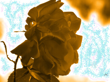 Digital Arts titled "Ciber-Rosa" by Aurelio Nicolazzo, Original Artwork, Digital Painting