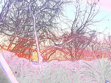 Arte digital titulada "The pink trees" por Aurelio Nicolazzo, Obra de arte original, Trabajo Digital 2D