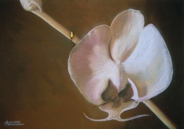 Dessin intitulée "Orchidée" par Aurore Thomas, Œuvre d'art originale