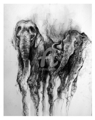 Dibujo titulada "elephant" por Aurore Lephilipponnat, Obra de arte original, Carbón