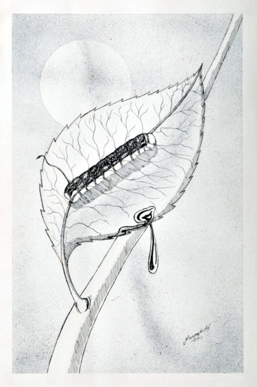Drawing titled "O mandruvá" by Dimarco.Art, Original Artwork, Ink