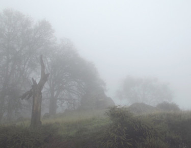 Fotografia zatytułowany „LANDSCAPES:: "Mists…” autorstwa Curtis H. Jones, Oryginalna praca, Fotografia cyfrowa Zamontowany n…