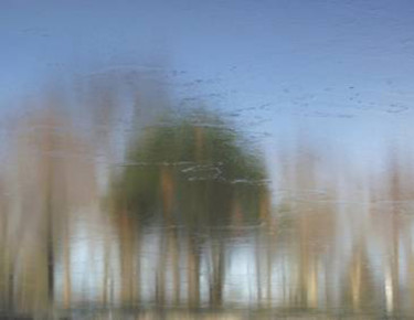 Fotografia intitolato "IMPRESSIONISM XXIII…" da Curtis H. Jones, Opera d'arte originale, Fotografia digitale Montato su Tela…