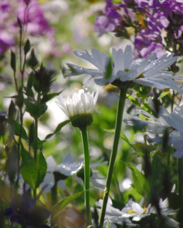 Fotografia intitolato "FLOWER V - "Wildflo…" da Curtis H. Jones, Opera d'arte originale, Fotografia digitale Montato su Tela…