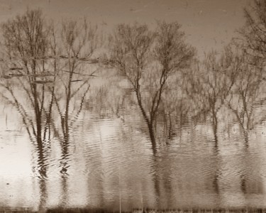 Fotografía titulada "IMPRESSIONISM XXXV,…" por Curtis H. Jones, Obra de arte original, Fotografía digital Montado en Bastido…