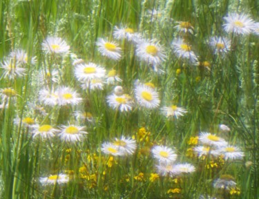 Photography titled "FLOWER XI, "Desert…" by Curtis H. Jones, Original Artwork, Digital Photography Mounted on Wood Stretcher…