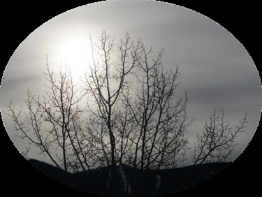 Photography titled "Grey Winter Sunrise" by Curtis H. Jones, Original Artwork, Digital Photography Mounted on Wood Stretcher…