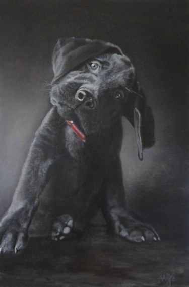 Pintura titulada "Cachorrinho Negro" por Avelino Araujo Junior, Obra de arte original, Oleo Montado en Panel de madera
