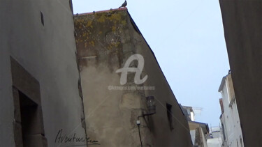 Photography titled "le squatteur des to…" by Aventuriero, Original Artwork, Non Manipulated Photography