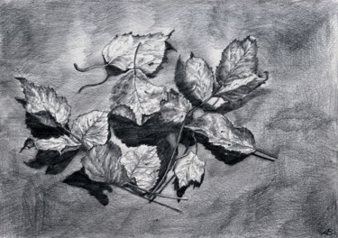 Desenho intitulada "The Dry Leaves.  Су…" por Vladimir Abaimov, Obras de arte originais, Lápis