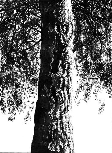 Рисунок под названием "The Birch on a Summ…" - Владимир Абаимов, Подлинное произведение искусства, Чернила