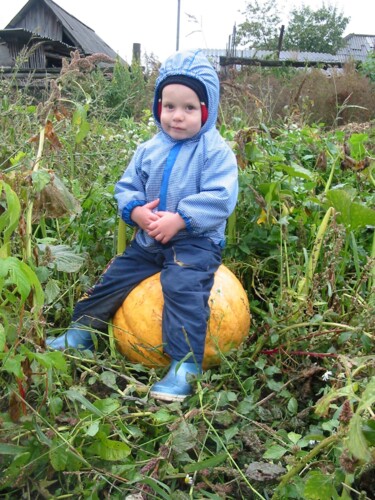 Photography titled "Riding a pumpkin 1/…" by Vladimir Abaimov, Original Artwork, Digital Photography