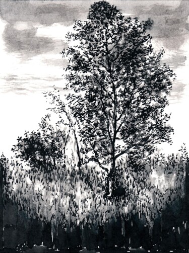 Drawing titled "The Birch / Березка" by Vladimir Abaimov, Original Artwork, Ink