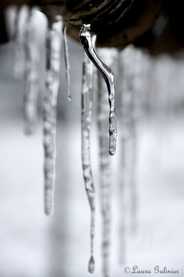 Photographie intitulée "Sculpture d'hiver" par Laura Galinier (Azalé Photo), Œuvre d'art originale