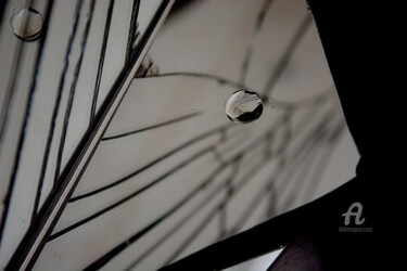 Photography titled "Poisson Miroir" by Laura Galinier (Azalé Photo), Original Artwork