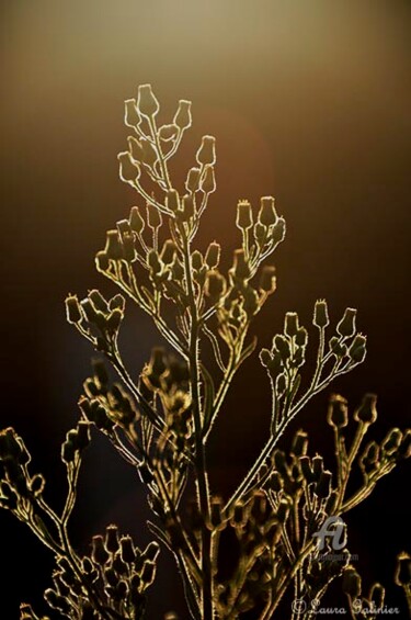 Photographie intitulée "Quand le jour s'en…" par Laura Galinier (Azalé Photo), Œuvre d'art originale