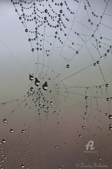 Fotografía titulada "Au fil de l'eau -2-" por Laura Galinier (Azalé Photo), Obra de arte original