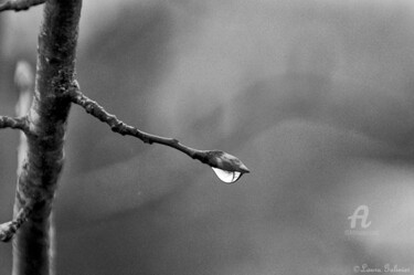 Fotografie mit dem Titel "Après la pluie 8" von Laura Galinier (Azalé Photo), Original-Kunstwerk