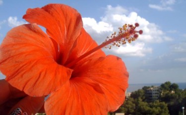 Fotografía titulada "AL ROJO VIVO." por Mary Carmen Diez Colorado, Obra de arte original