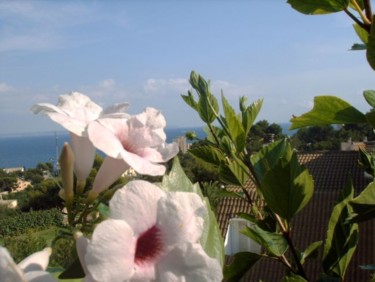 Fotografía titulada "CAMPANAS ROSAS." por Mary Carmen Diez Colorado, Obra de arte original