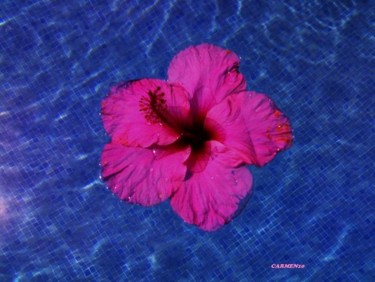 Photography titled "AGUA Y FLOR" by Mary Carmen Diez Colorado, Original Artwork