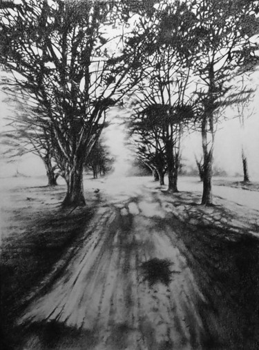 Drawing titled "Les cyprès de bois…" by B. Alexis, Original Artwork, Chalk