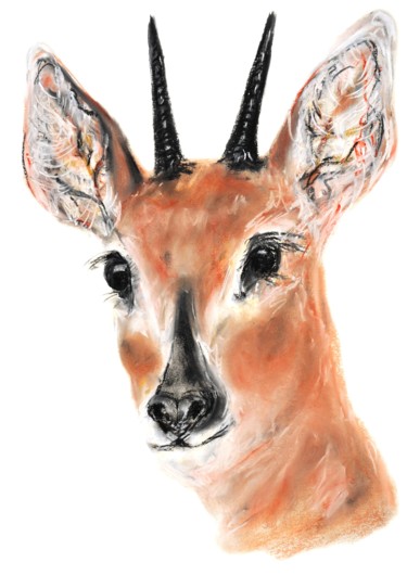 a friend Drawing titled "a friend" by Babett Landsberger, Original Art, Pastel