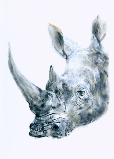 Tekening getiteld "rhino" door Babett Landsberger, Origineel Kunstwerk, Pastel