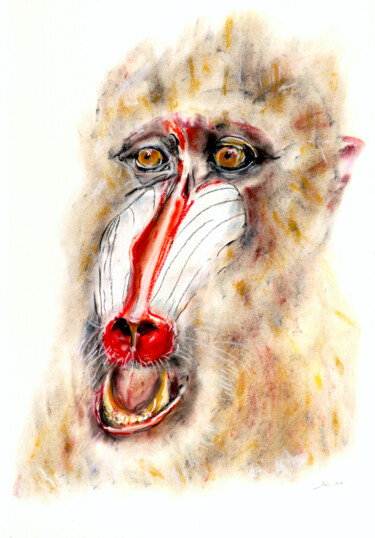 Desenho intitulada "mandrill" por Babett Landsberger, Obras de arte originais, Giz