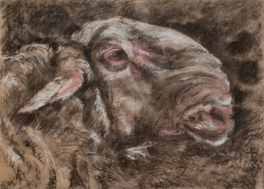 Dessin intitulée "Mon beau mouton" par Barbara Guias-Vaquier, Œuvre d'art originale