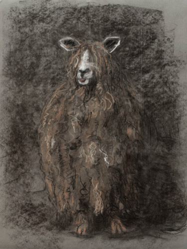 Drawing titled "Mouton aux longs po…" by Barbara Guias-Vaquier, Original Artwork