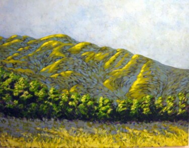 Pintura titulada "Los Alamos Hills" por Bahram Berj Kafai, Obra de arte original, Oleo