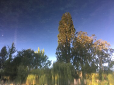 Photography titled "Blurry trees" by Balagour, Original Artwork, Digital Photography