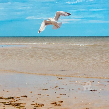 Photographie intitulée "Cabourg IV" par Balagour, Œuvre d'art originale, Photographie numérique