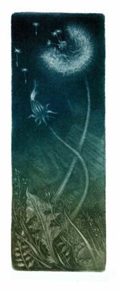 Отпечатки и Гравюры под названием "одуванчик" - Кирилл Балкосадский, Подлинное произведение искусства, гравюра