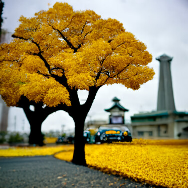 "Yellow Ginkgo Trees" başlıklı Dijital Sanat Bank3io tarafından, Orijinal sanat, Dijital Resim