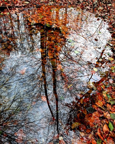 Photographie intitulée "source" par Ban*S, Œuvre d'art originale, Photographie numérique