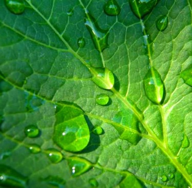 Photographie intitulée "drop" par Ban*S, Œuvre d'art originale, Photographie numérique