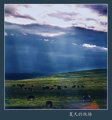 摄影 标题为“青藏高原风光1” 由半影老人, 原创艺术品