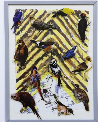 「Birds」というタイトルのコラージュ Baptiste Vanweydeveldtによって, オリジナルのアートワーク, グワッシュ水彩画 ウッドパネルにマウント