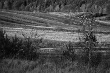 Fotografia zatytułowany „Roztoczańskim trope…” autorstwa Barbara Kosz, Oryginalna praca, Fotografia nie manipulowana