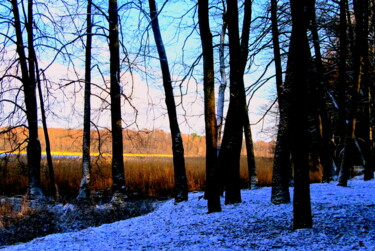 Fotografia zatytułowany „Trees by the lake” autorstwa Barbara Przyborowska, Oryginalna praca, Fotografia cyfrowa