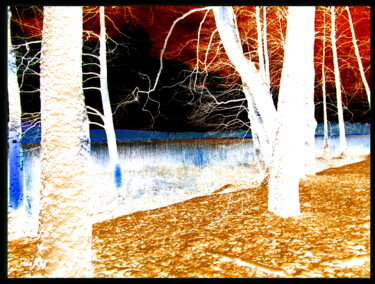Photography titled "White trees" by Barbara Przyborowska, Original Artwork, Digital Photography