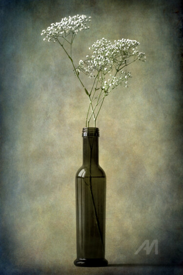 Photography titled "The olive oil bottl…" by Barbara Corvino, Original Artwork, Digital Photography
