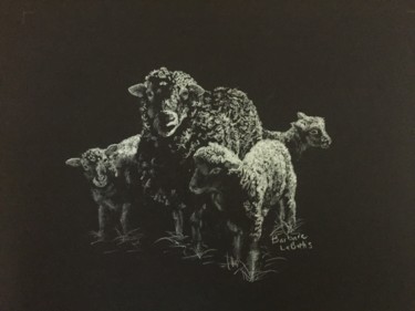 "Sheep" başlıklı Resim Barbara Labutis tarafından, Orijinal sanat, Karakalem